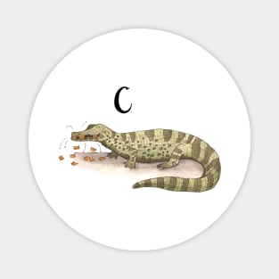 C is for Caiman Magnet